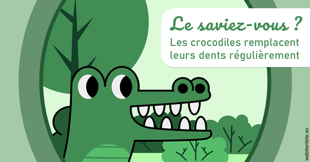 https://selarl-soliwil.chirurgiens-dentistes.fr/Crocodiles 2